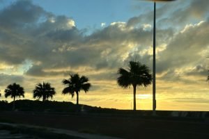 IMG_3770